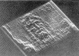 reconstruction de E.Jumper dans O.Celier,Le Signe du Linceul,Cerf,Paris