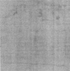 Image de l'envers du Linceul de Turin