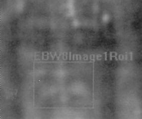 Image améliorée de l'envers du Linceul (FANTI)