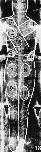 Zones de blessure sur Le Linceul de Turin